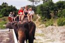 P elefanttur lige uden for Hua Hin.