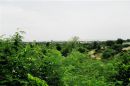 Elefanttur. Udsigt ud over Hua Hin.