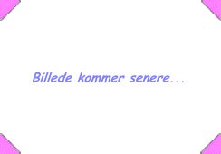 Klik for et større billede...