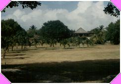 1991