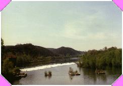 1988