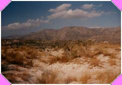 1991