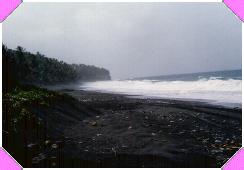1991