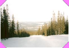1999