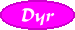 Dyr
